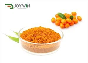 Beku Serbuk Buckthorn Laut Kering