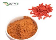 Serbuk Jus Goji