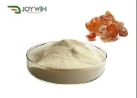 Serbuk Akasia Gum